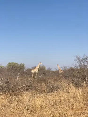 Limpopo Ecotourism
